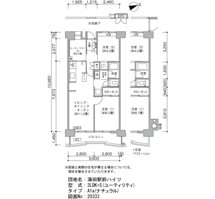 801号室 Floor plan