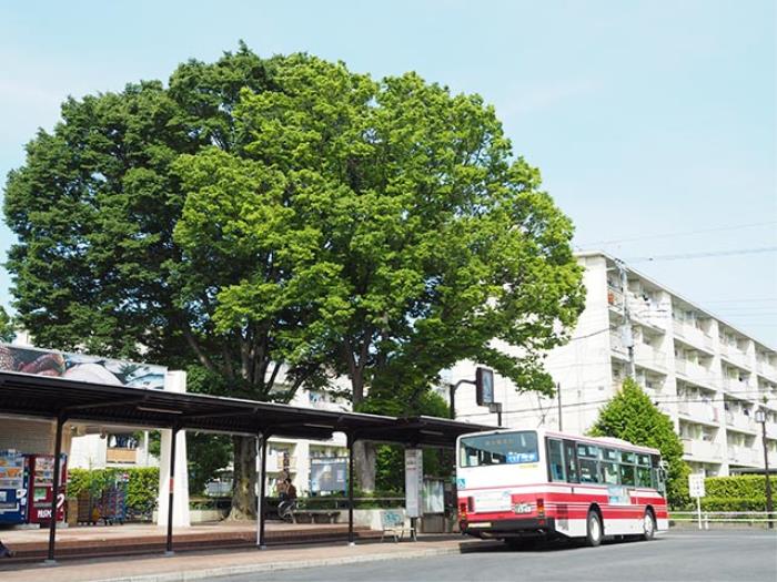 apartment 立川市若葉町1-13-2

住棟配置図