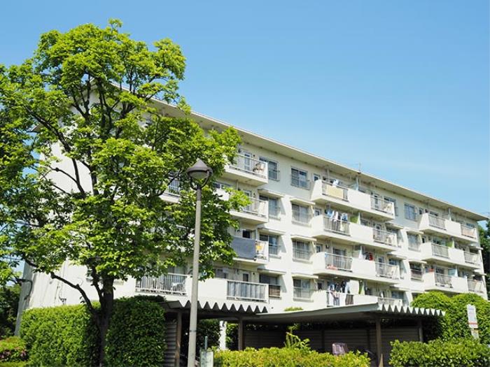 apartment 立川市若葉町1-13-2

住棟配置図