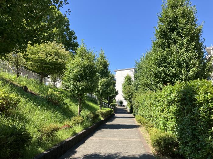 apartment 町田市藤の台1-1ほか

住棟配置図