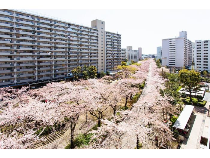apartment 板橋区高島平2ほか

住棟配置図