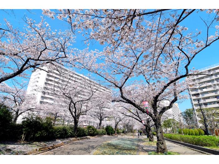 apartment 板橋区高島平2ほか

住棟配置図