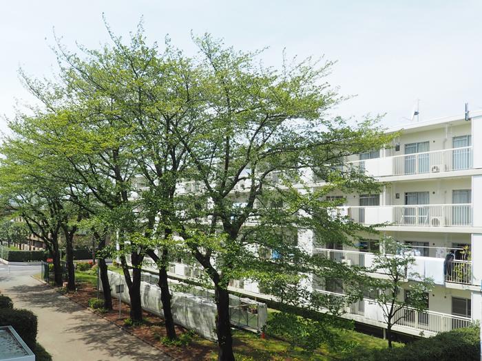 日野大久保 外観