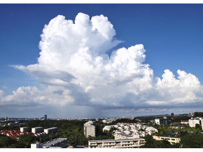 apartment 八王子市寺田町432

住棟配置図