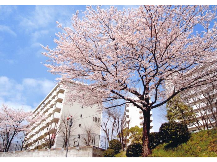 apartment 八王子市寺田町432

住棟配置図