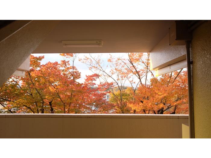 apartment 八王子市寺田町432

住棟配置図