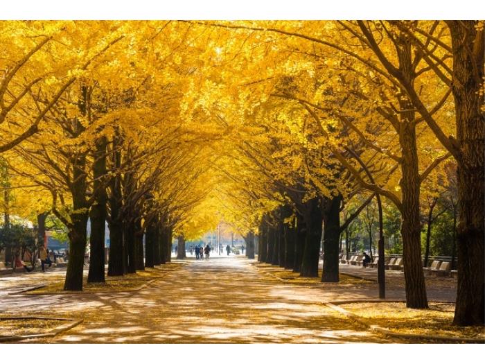 apartment 板橋区赤塚新町3-32

住棟配置図