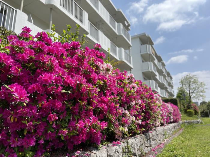 apartment 町田市小山田桜台2-4ほか

住棟配置図