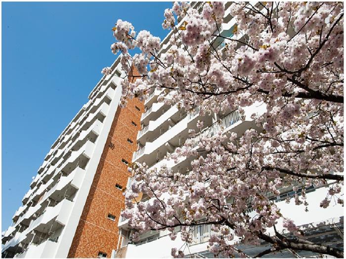 apartment 品川区八潮5-6

住棟配置図