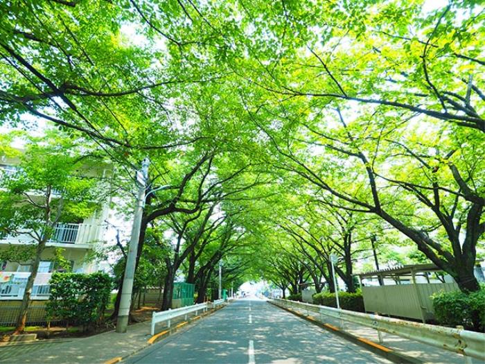 apartment 立川市一番町6-8-1ほか

住棟配置図