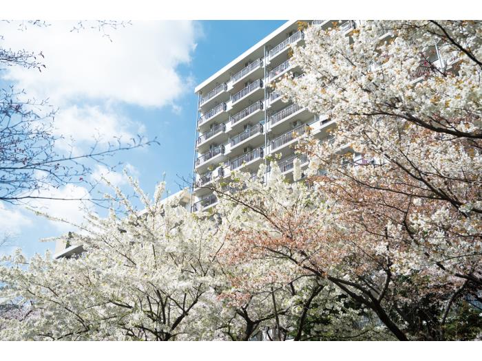 apartment 練馬区光が丘7-3ほか

住棟配置図