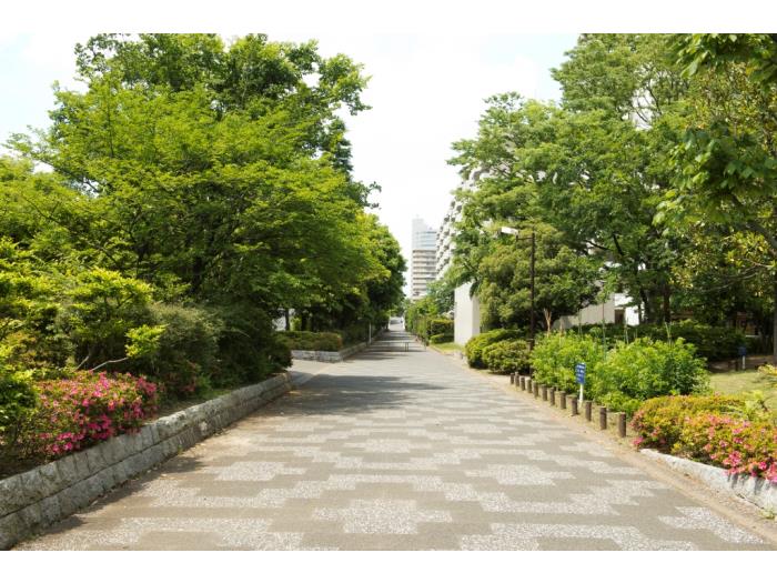 apartment 練馬区光が丘3-8

住棟配置図