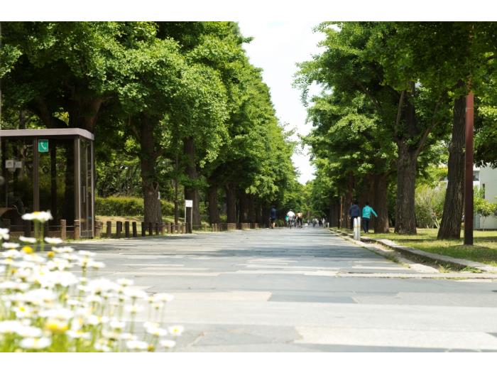 apartment 練馬区光が丘3-8

住棟配置図