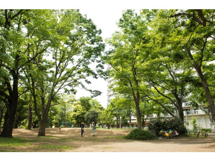 apartment 練馬区光が丘3-8

住棟配置図