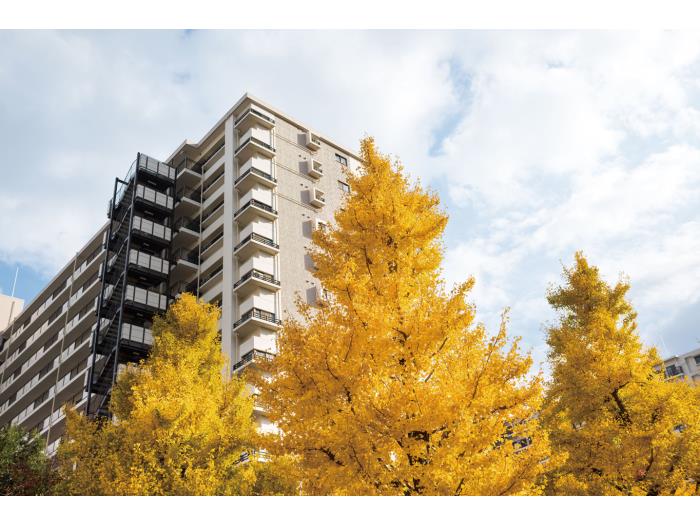 apartment 練馬区光が丘3-8

住棟配置図