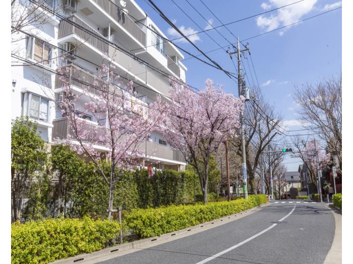 apartment 世田谷区上祖師谷4-2

住棟配置図