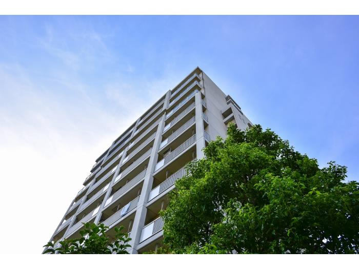 apartment 練馬区石神井台3-26 ほか

住棟配置図