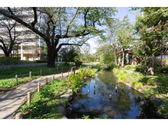 apartment 西東京市富士町1-7

住棟配置図