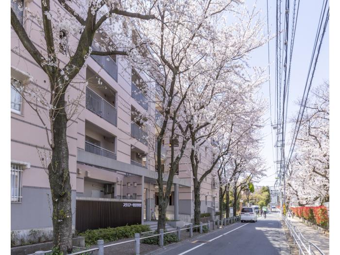 apartment 世田谷区桜丘1-2-20

住棟配置図