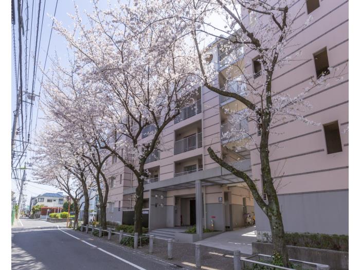 apartment 世田谷区桜丘1-2-20

住棟配置図