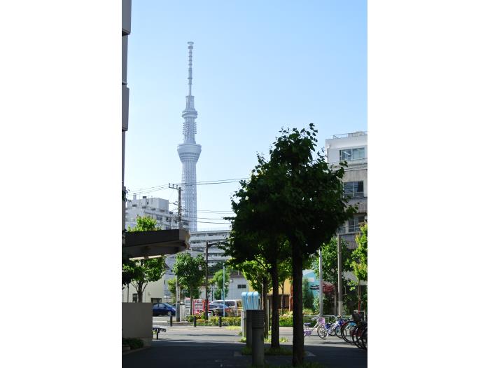 apartment 江東区亀戸2-1

住棟配置図