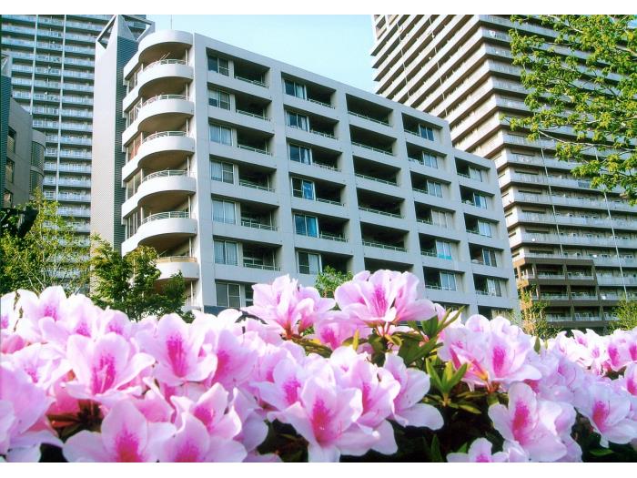 apartment 荒川区南千住4-9

住棟配置図