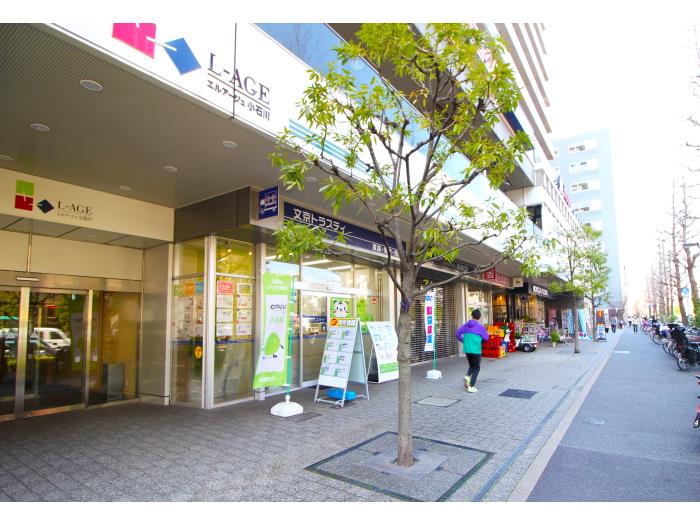 apartment 文京区小石川1-17-1

住棟配置図