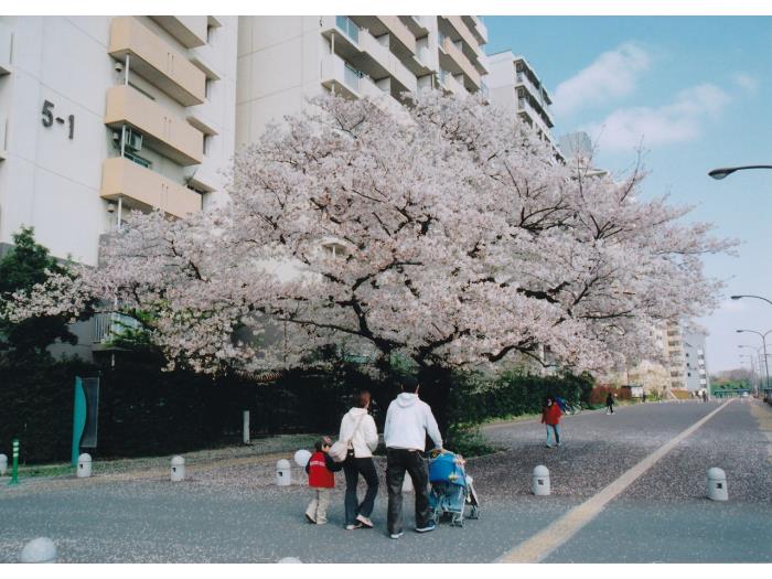 apartment 国分寺市泉町2-5

住棟配置図