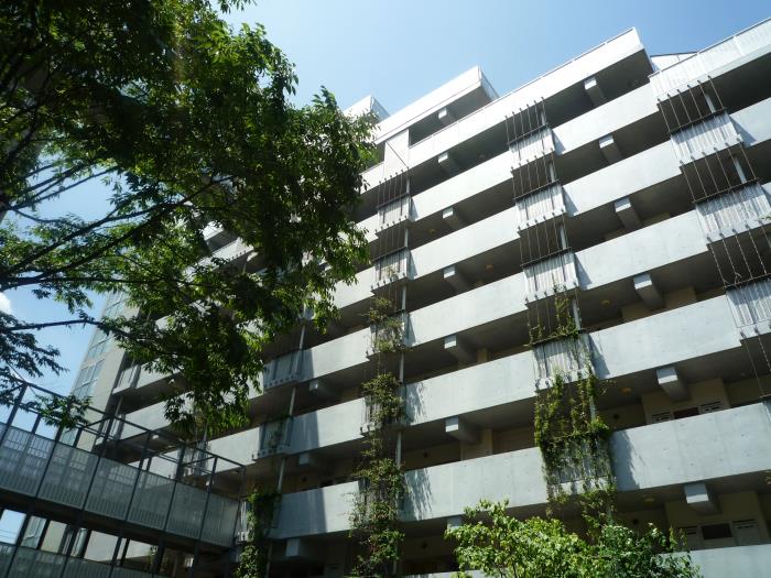 apartment 江東区塩浜2-24-10

住棟配置図