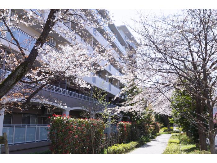 apartment 世田谷区南烏山2-30

住棟配置図