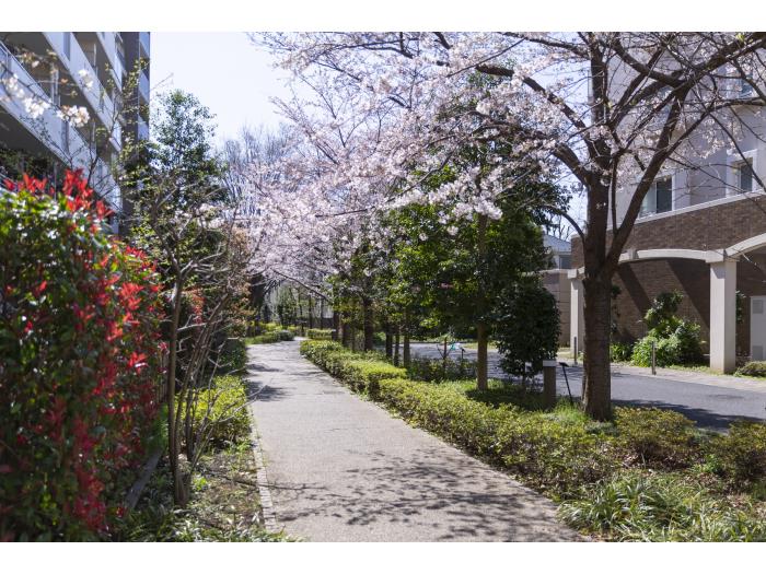 apartment 世田谷区南烏山2-30

住棟配置図