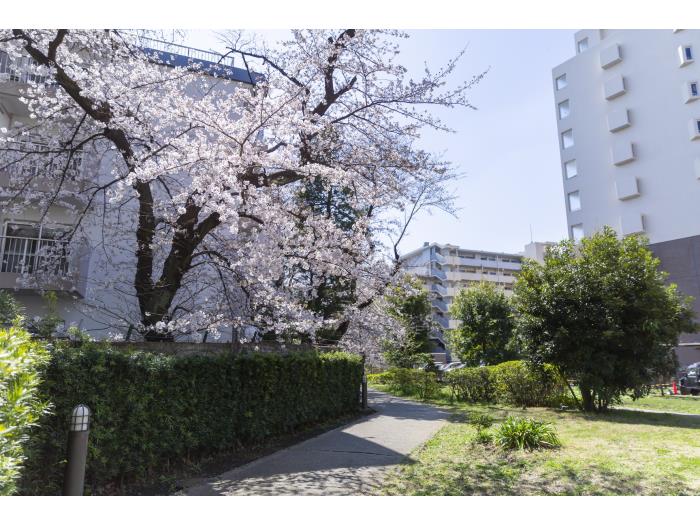 apartment 世田谷区南烏山2-30

住棟配置図