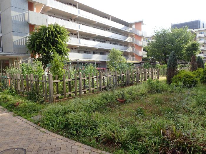 apartment 板橋区赤塚新町3-33

住棟配置図