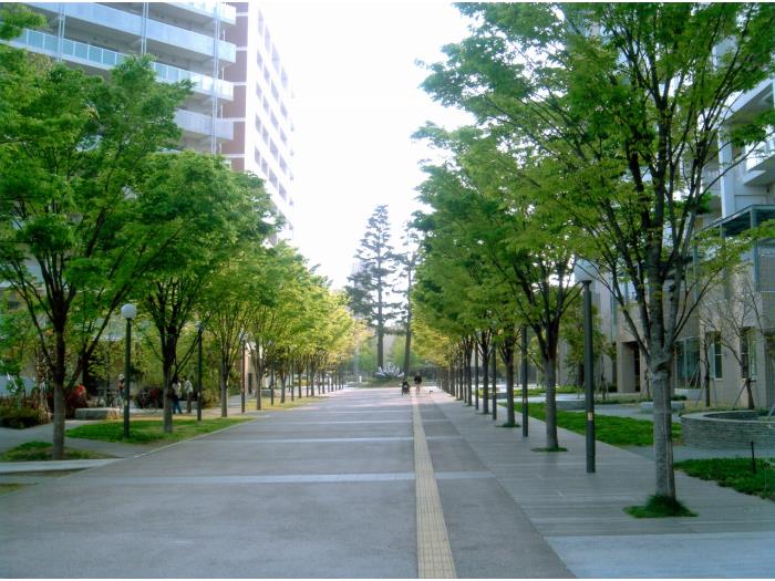 apartment 杉並区桃井3-7

住棟配置図