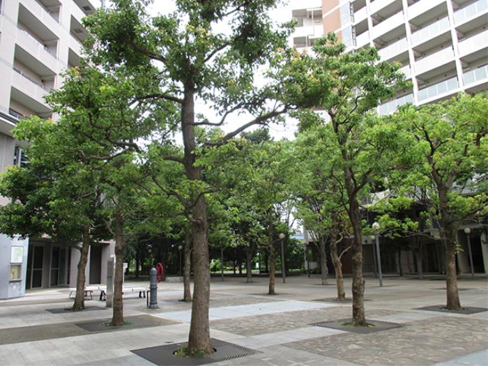 apartment 杉並区桃井3-7

住棟配置図