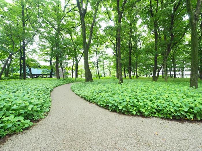 apartment 東久留米市上の原1-3ほか

住棟配置図