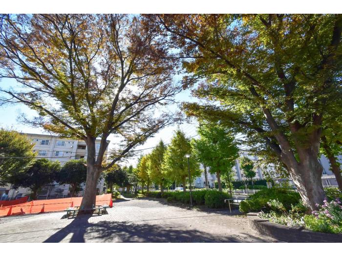 apartment 船橋市習志野台3-5ほか

住棟配置図