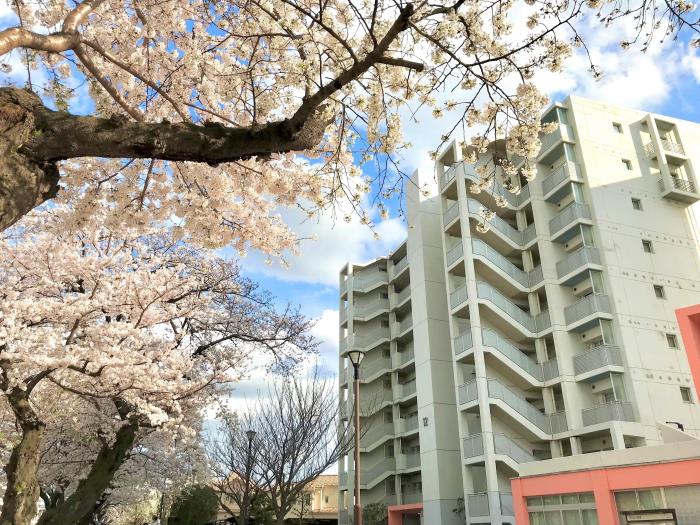 apartment 船橋市前原西6-1

住棟配置図