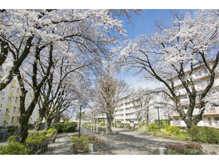 apartment 相模原市南区相模台団地

住棟配置図
