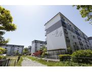 善行第三（神奈川県）の賃貸物件｜UR賃貸住宅
