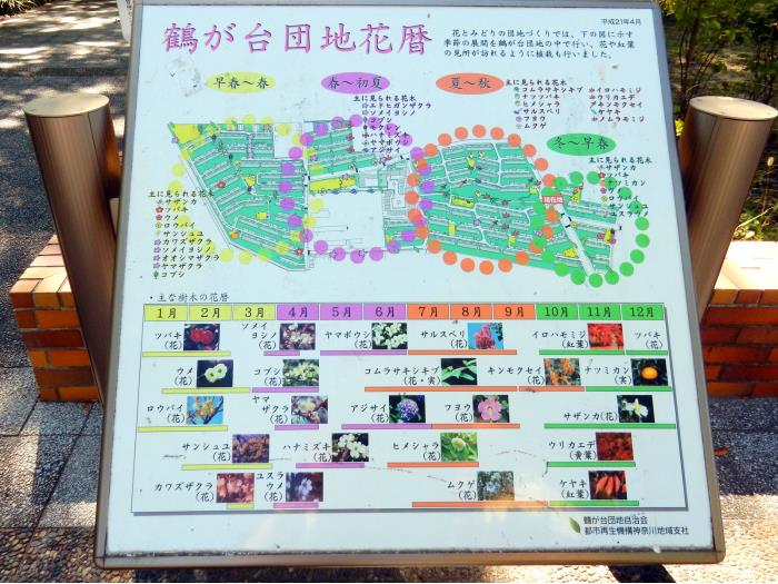 apartment 茅ヶ崎市鶴が台

住棟配置図