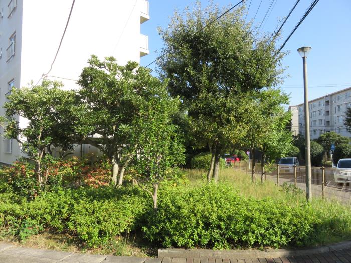 apartment 秦野市下大槻410

住棟配置図