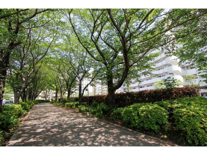 apartment 相模原市南区相模大野6-23

住棟配置図