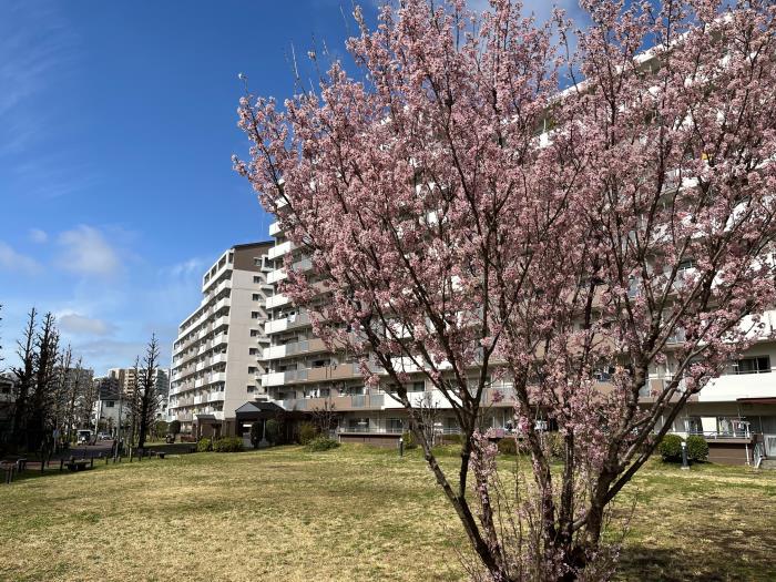 apartment 相模原市南区相南1-24

住棟配置図