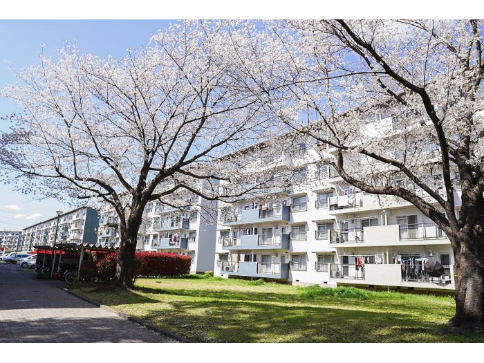 apartment 上尾市大字原市3336

住棟配置図
