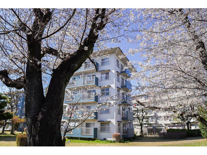 apartment 上尾市大字瓦葺2716

住棟配置図