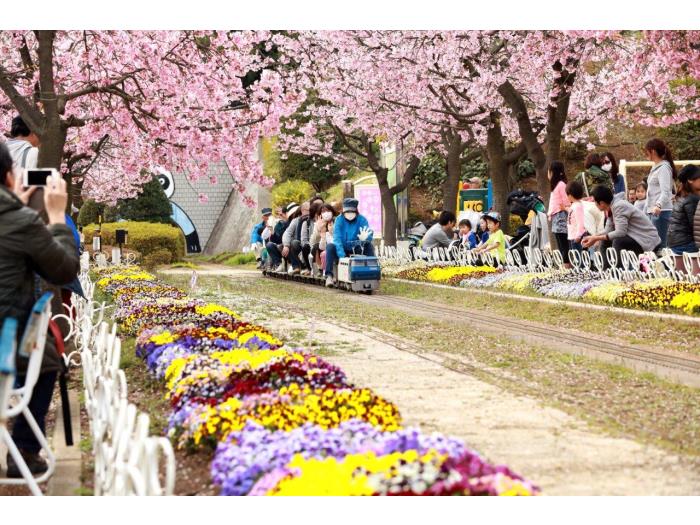 apartment 川口市芝園町3

住棟配置図