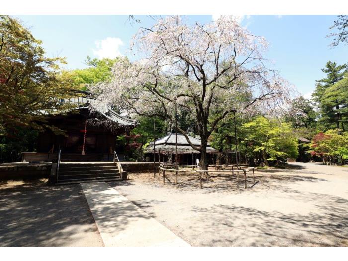 apartment 朝霞市膝折町2-8

住棟配置図
