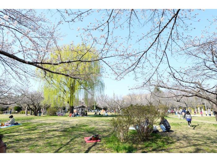 apartment 三郷市早稲田7

住棟配置図