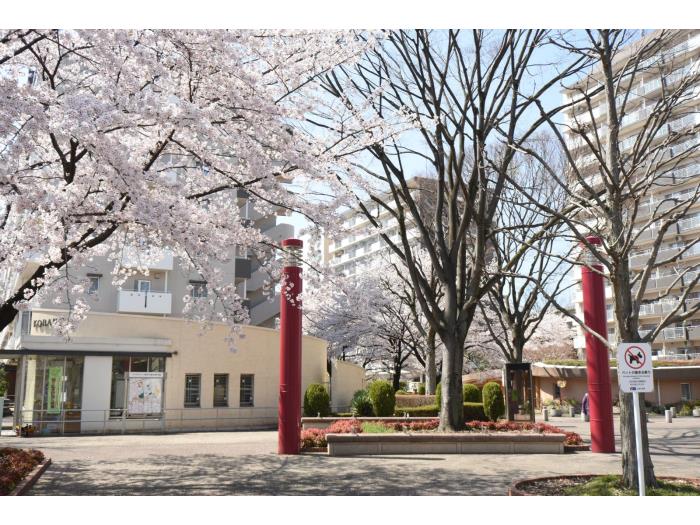 apartment 所沢市緑町1-5ほか

住棟配置図